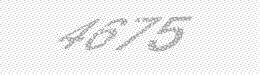 Visual security code — type the characters shown in the image