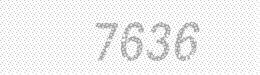 Visual security code — type the characters shown in the image