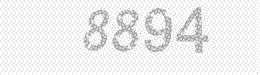 Visual security code — type the characters shown in the image